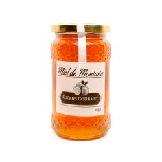 TARRO MIEL DE MONTAÑA 100GR