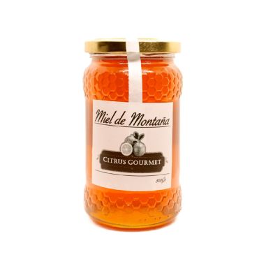 TARRO MIEL DE MONTAÑA 100GR