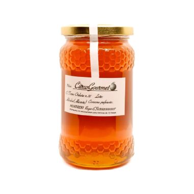 TARRO MIEL DE MONTAÑA 100GR