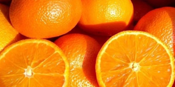  Las mejores ideas para consumir naranjas valencianas 