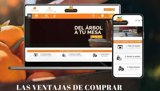 Naranjas Valencianas: El sabor y calidad de la tierra valenciana en tu mesa