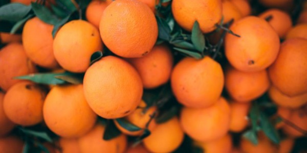 Guía Definitiva para Comprar Naranjas Valencianas