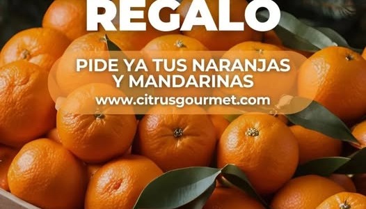 ¡Naranjas y mandarinas: el regalo más dulce de la Navidad!