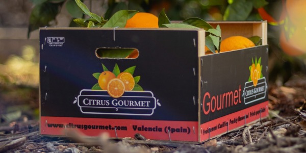 ¡Exprime la vida! Descubre los increíbles beneficios de las naranjas y mandarinas de Citrusgourmet