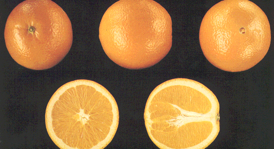 Importancia del consumo de frutas para la salud