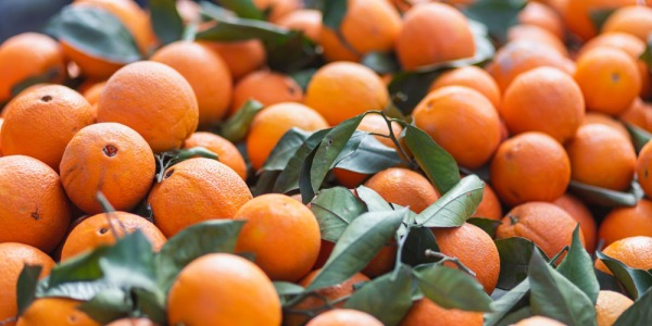 ¿Cuántas mandarinas al día hay que comer para estar bien?