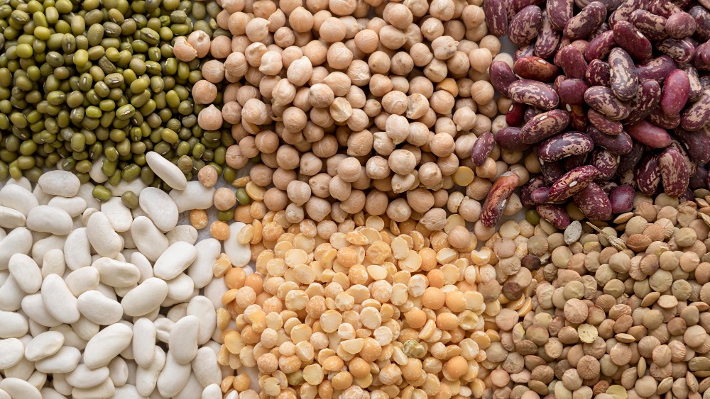 El alimento que muchos olvidan en verano: por qué las judías, los garbanzos y las aceitunas son perfectos para esta época del año